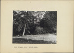 Ewidencja parkowa, skan nr 39