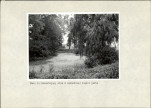 EP - Ewidencja parkowa, skan nr 19