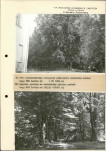 Ewidencja parkowa, skan nr 27