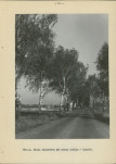 Ewidencja parkowa, skan nr 28