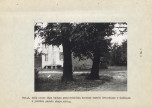 EP - Ewidencja parkowa, skan nr 26