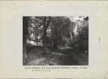 EP - Ewidencja parkowa, skan nr 73