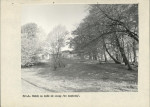 Ewidencja parkowa, skan nr 31
