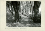 Ewidencja parkowa, skan nr 32