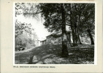 Ewidencja parkowa, skan nr 33