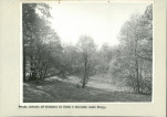 Ewidencja parkowa, skan nr 38