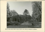 Ewidencja parkowa, skan nr 41