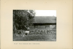 EP - Ewidencja parkowa, skan nr 58