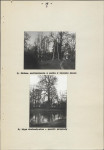 EP - Ewidencja parkowa, skan nr 20