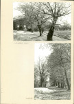 Ewidencja parkowa, skan nr 16
