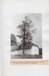 Ewidencja parkowa, skan nr 24
