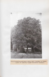 Ewidencja parkowa, skan nr 34