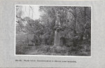 EP - Ewidencja parkowa, skan nr 50