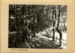 Ewidencja parkowa, skan nr 30