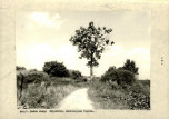 EP - Ewidencja parkowa, skan nr 15