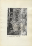 Ewidencja parkowa, skan nr 37