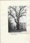 EP - Ewidencja parkowa, skan nr 29
