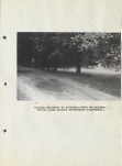 EP - Ewidencja parkowa, skan nr 29