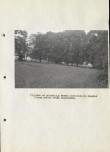 EP - Ewidencja parkowa, skan nr 33