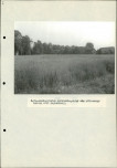 Ewidencja parkowa, skan nr 30