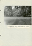 Ewidencja parkowa, skan nr 34