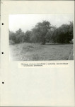 Ewidencja parkowa, skan nr 37