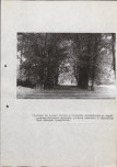 Ewidencja parkowa, skan nr 49