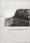 EP - Ewidencja parkowa, skan nr 36