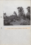 Ewidencja parkowa, skan nr 32