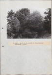 Ewidencja parkowa, skan nr 33