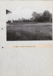 Ewidencja parkowa, skan nr 38