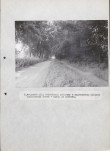 Ewidencja parkowa, skan nr 30