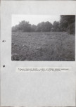 Ewidencja parkowa, skan nr 35