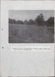 Ewidencja parkowa, skan nr 42