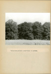 Ewidencja parkowa, skan nr 52