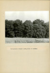 Ewidencja parkowa, skan nr 53