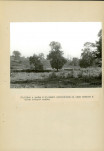 Ewidencja parkowa, skan nr 63