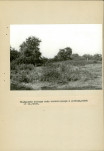 Ewidencja parkowa, skan nr 68