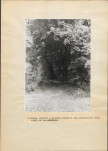 Ewidencja parkowa, skan nr 56