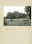 Ewidencja parkowa, skan nr 36