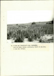 EP - Ewidencja parkowa, skan nr 32