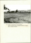 EP - Ewidencja parkowa, skan nr 34