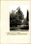 Ewidencja parkowa, skan nr 29