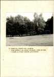 Ewidencja parkowa, skan nr 32