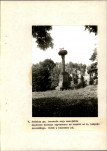 EP - Ewidencja parkowa, skan nr 41