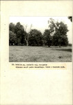 EP - Ewidencja parkowa, skan nr 56