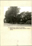 Ewidencja parkowa, skan nr 40