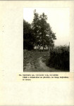 Ewidencja parkowa, skan nr 49