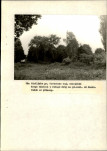 Ewidencja parkowa, skan nr 54