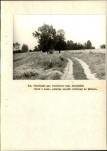 Ewidencja parkowa, skan nr 59